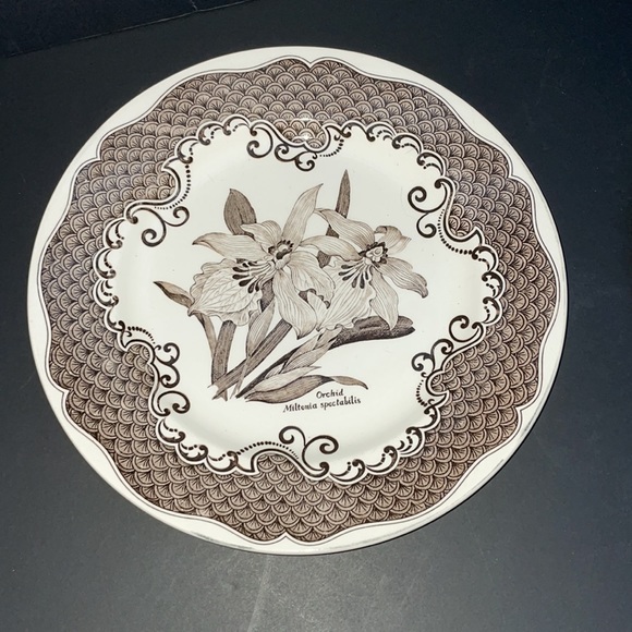 Staffordshire English Ironstone Tableware Dinner & Bread Plates England - Picture 4 of 9